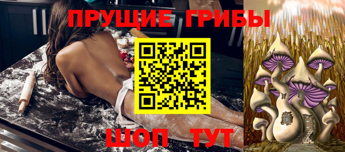 Великий Устюг  Псилоцибиновые грибы Cubensis  Галлюциногенные грибы ЛСД  Вход с VPN 